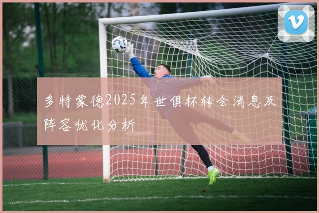 多特蒙德2025年世俱杯转会消息及阵容优化分析