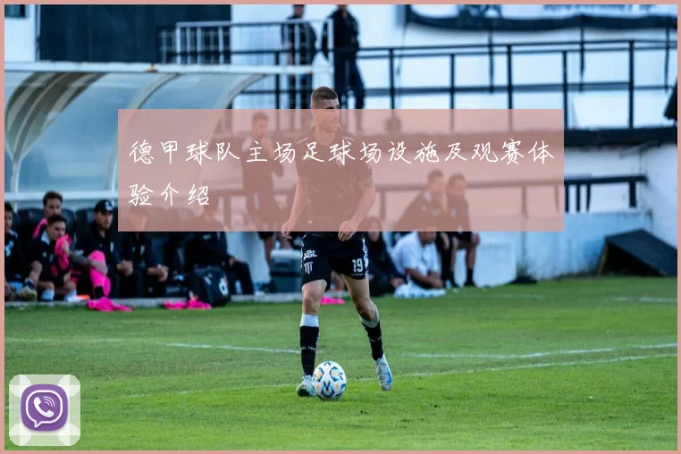 德甲球队主场足球场设施及观赛体验介绍