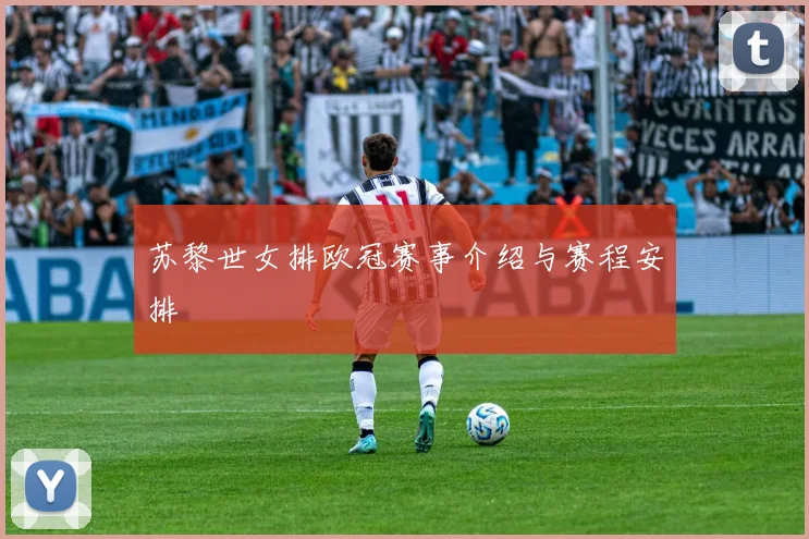 苏黎世女排欧冠赛事介绍与赛程安排